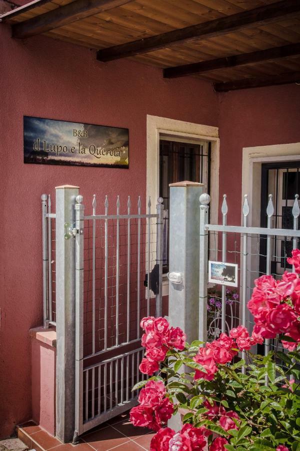 B&B Il Lupo E La Quercia Castelnuovo Magra Ngoại thất bức ảnh